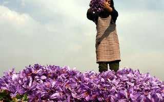 Golden Threads of India: Unveiling the Riches of Indian Saffron