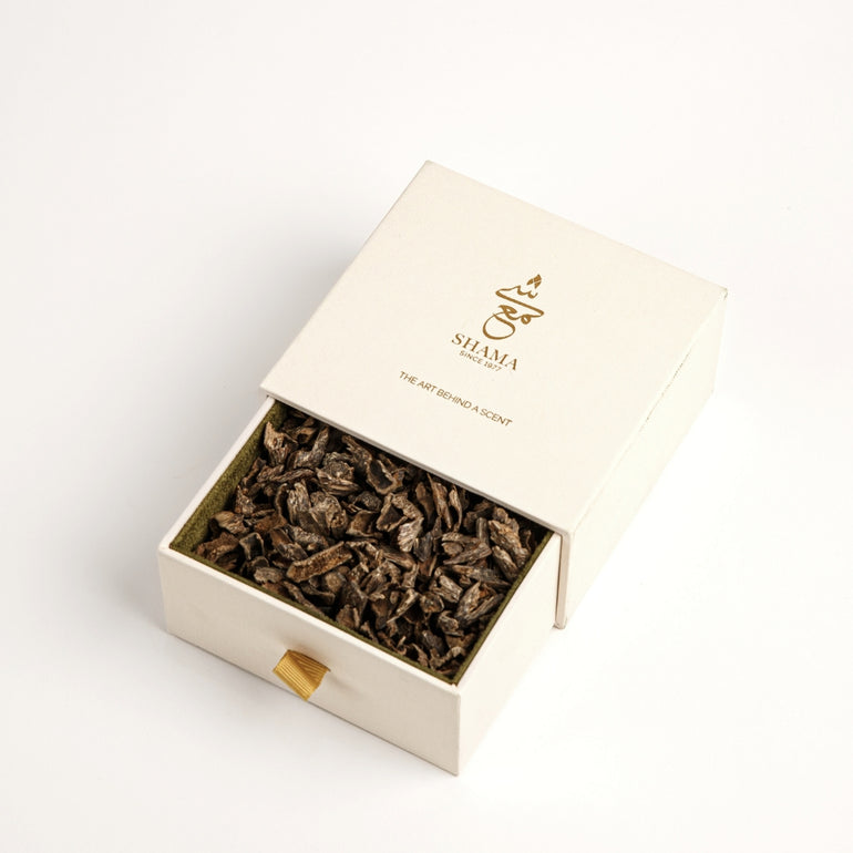 Best Online Perfume and Fragrance Store | Shama-Perfumes
